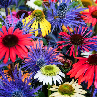 Summertime Illusion Mix